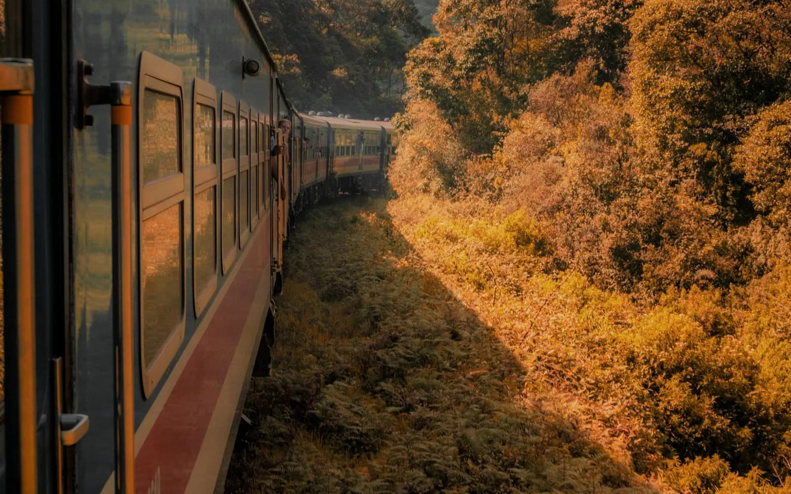 Scenic train through Ella highlands for private hill country route planning