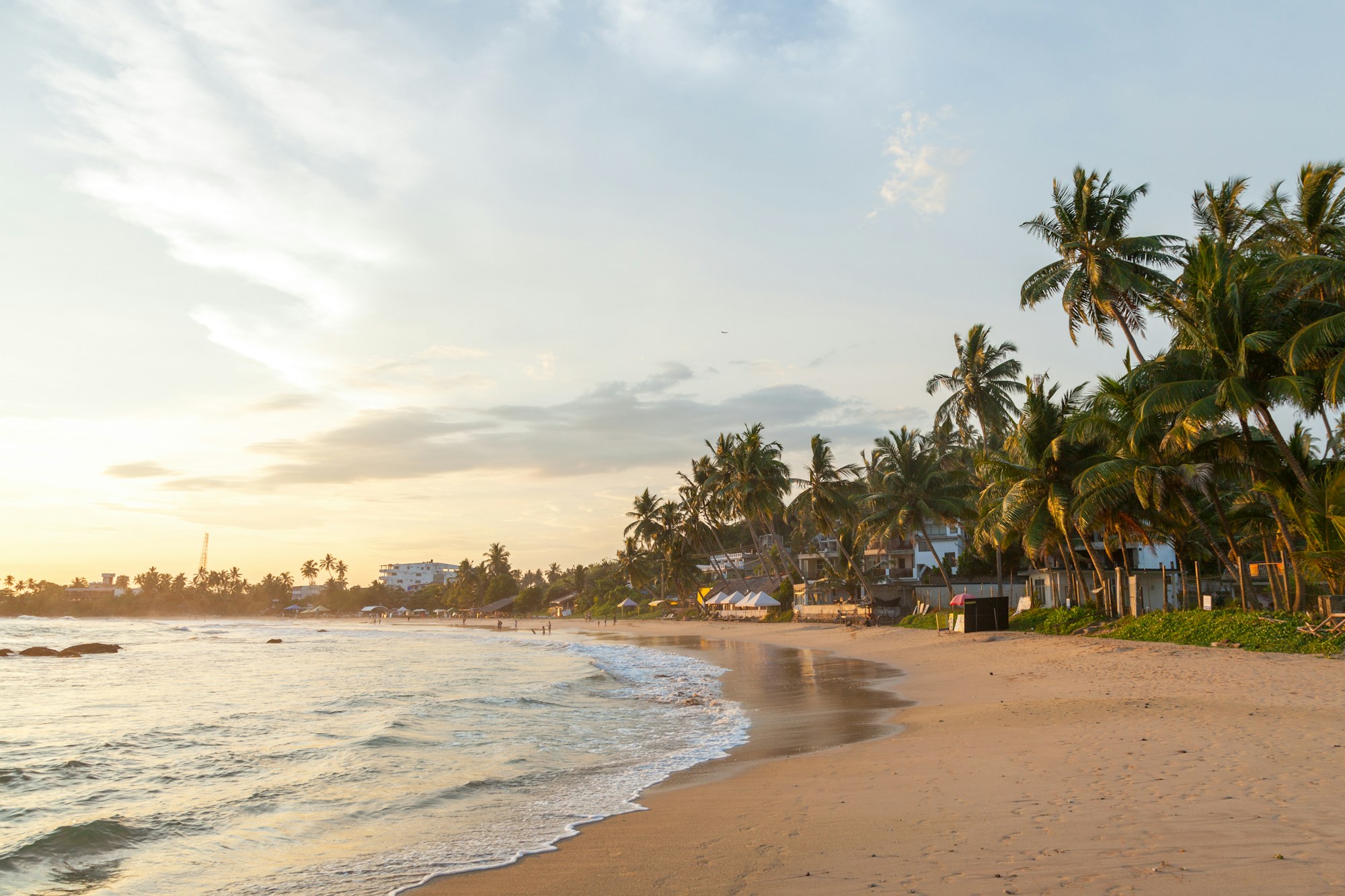 Sri Lanka private tour experiences - culture, hills, wildlife, and beaches - Image 3